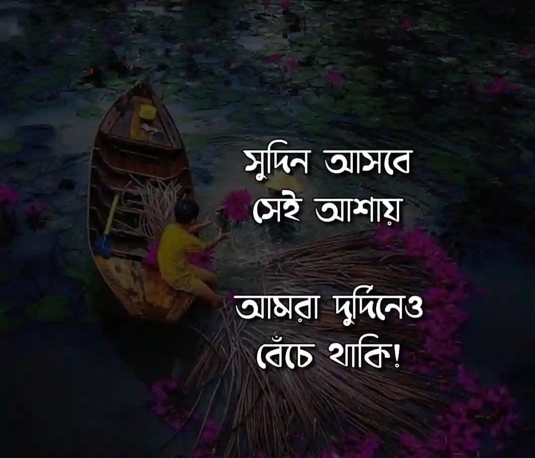 bangla quotes-photos free lr background image download precap